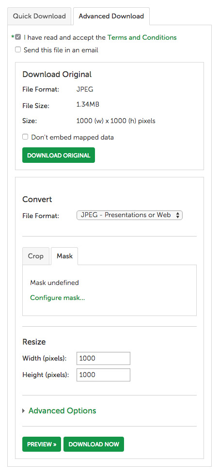 Fig 4 – Masks available during advanced download